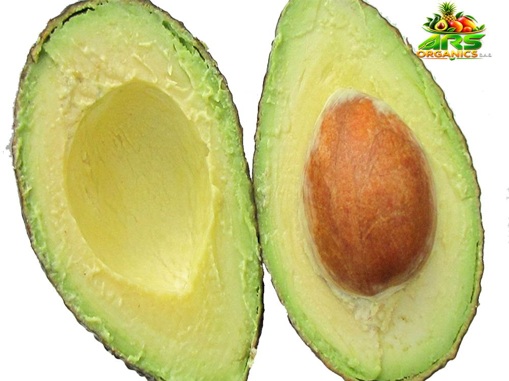 Aguacate