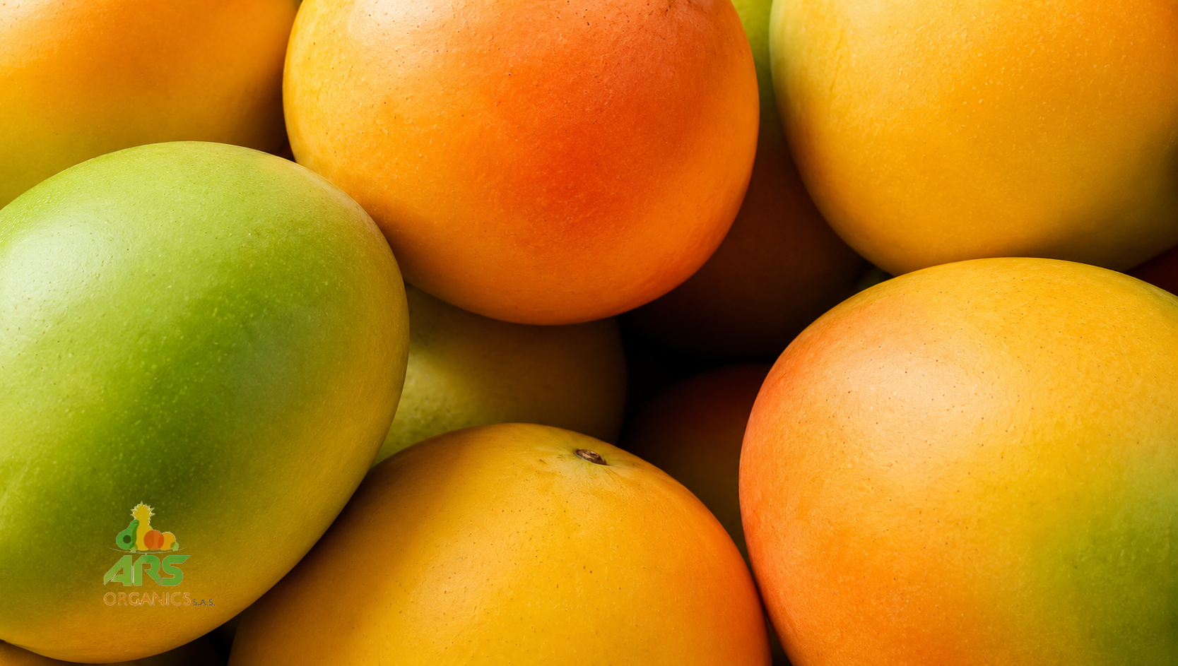Mangos frescos